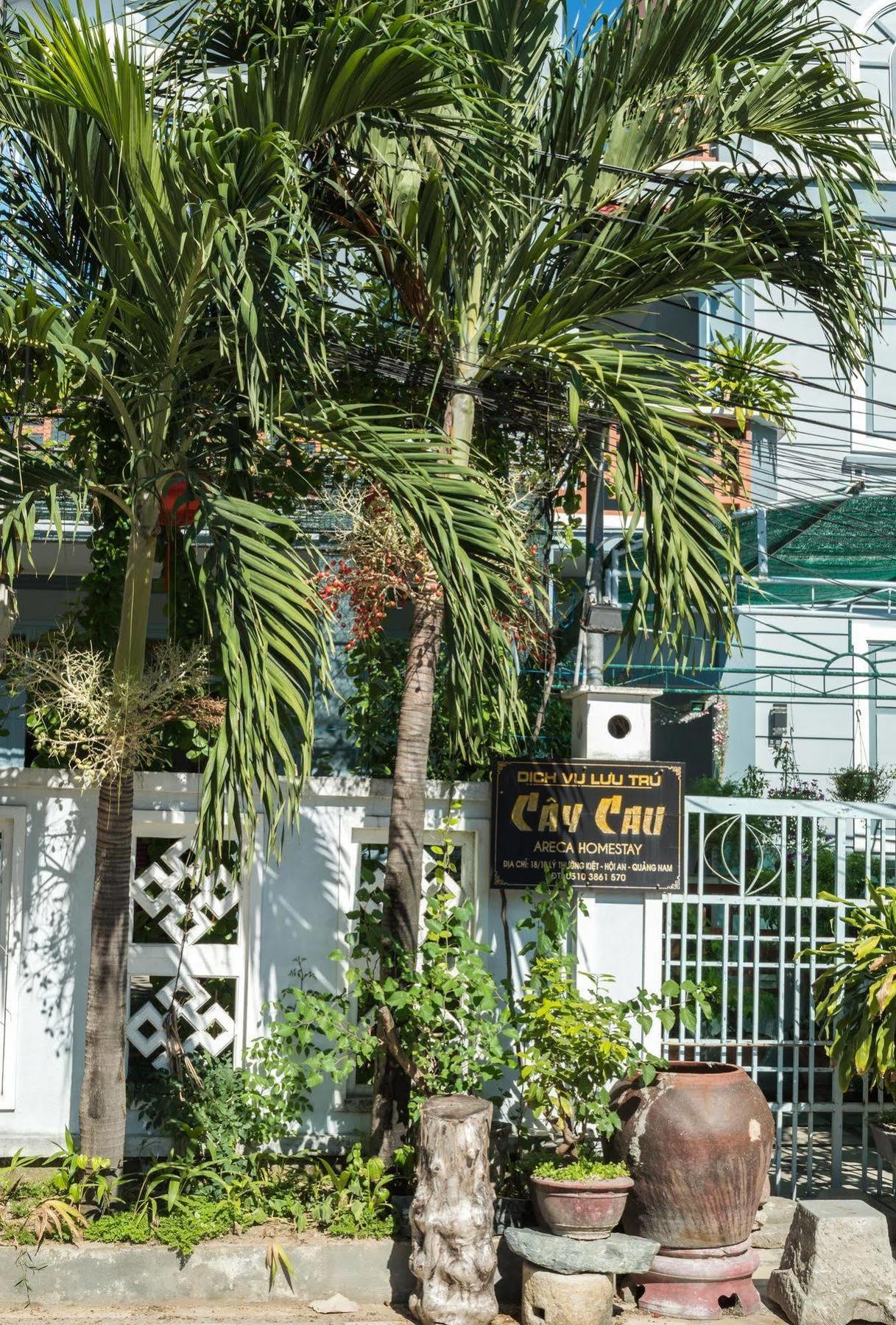 Areca Homestay Χόι Αν Εξωτερικό φωτογραφία